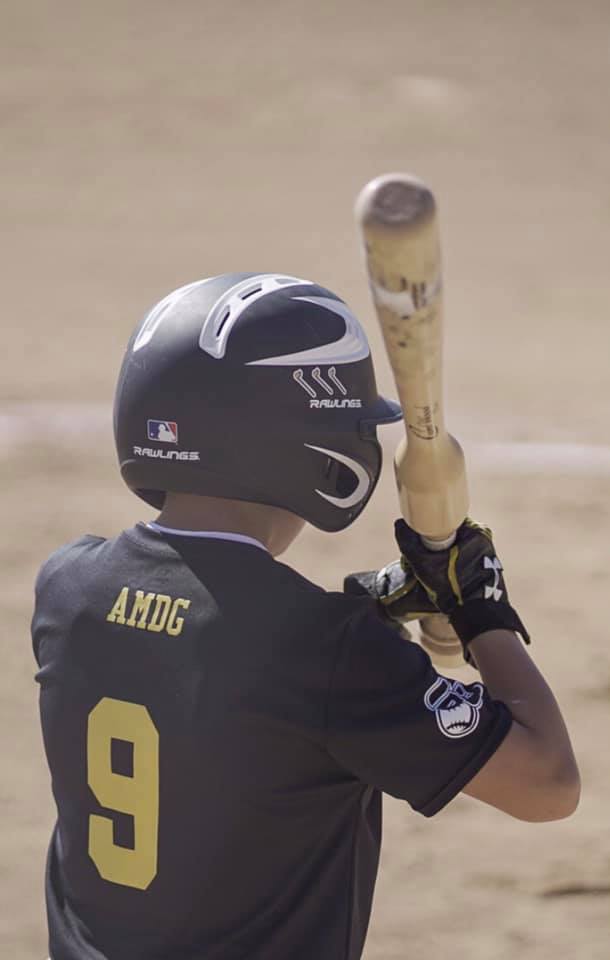 CamWood Bats Hands & Speed Trainer